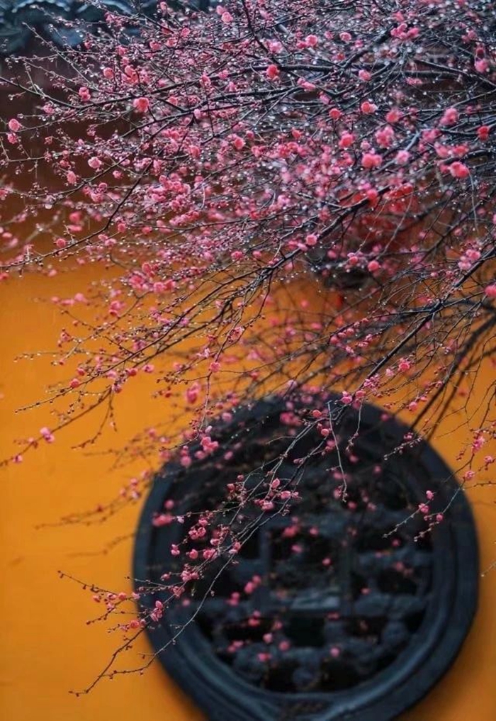 微信图片_20200226235352